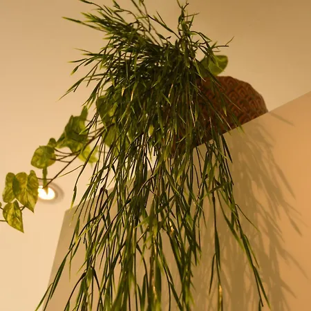 Engel Apartment *